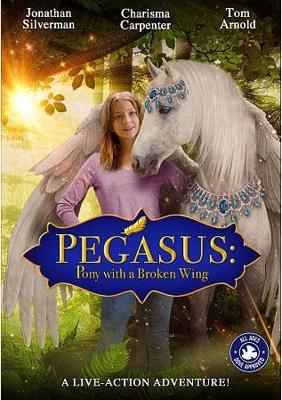 Пони с перебитым крылом / Pegasus: Pony with a Broken Wing (2019) смотреть онлайн бесплатно в отличном качестве