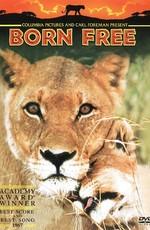 Рожденная свободной / Born Free (None) смотреть онлайн бесплатно в отличном качестве