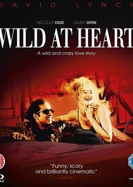 Дикие сердцем / Wild at Heart (None) смотреть онлайн бесплатно в отличном качестве