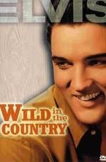 Одиночка / Wild In The Country () смотреть онлайн бесплатно в отличном качестве