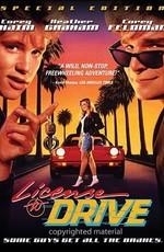 Водительские права / License to Drive () смотреть онлайн бесплатно в отличном качестве