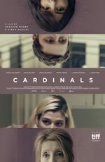 Кардиналы / Cardinals (2017) смотреть онлайн бесплатно в отличном качестве