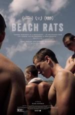 Пляжные крысы / Beach Rats (2017) смотреть онлайн бесплатно в отличном качестве