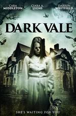 Мрачная долина / Dark Vale (2017) смотреть онлайн бесплатно в отличном качестве