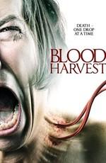 Кровавый урожай / Blood Harvest (2016) смотреть онлайн бесплатно в отличном качестве