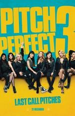 Идеальный голос 3 / Pitch Perfect 3 (2017) смотреть онлайн бесплатно в отличном качестве