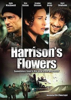 Спасти Хэррисона / Harrison's Flowers (2000) смотреть онлайн бесплатно в отличном качестве