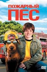 Пожарный пес / Firehouse Dog (2007) смотреть онлайн бесплатно в отличном качестве