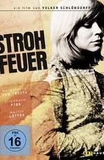 Мгновенная вспышка / Strohfeuer (1972) смотреть онлайн бесплатно в отличном качестве