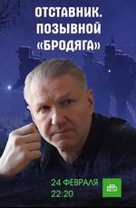 Отставник. Позывной «бродяга» /  (2017) смотреть онлайн бесплатно в отличном качестве