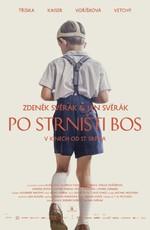 Босиком / Po strnisti bos (2017) смотреть онлайн бесплатно в отличном качестве