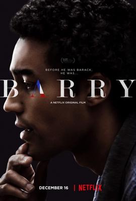 Барри (Barry) 2016 года смотреть онлайн бесплатно в отличном качестве. Постер