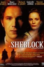 Шерлок: Дело зла (Sherlock) 2002 года смотреть онлайн бесплатно в отличном качестве. Постер