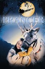 Скакун / Prancer (1989) смотреть онлайн бесплатно в отличном качестве