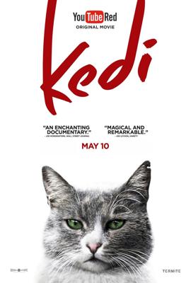 Город кошек / Kedi (2017) смотреть онлайн бесплатно в отличном качестве