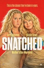 Дочь и мать её / Snatched (2017) смотреть онлайн бесплатно в отличном качестве