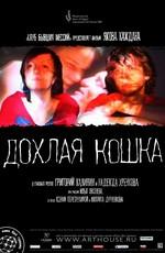 Дохлая кошка () 2008 года смотреть онлайн бесплатно в отличном качестве. Постер