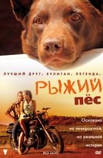 Рыжий пес (Red Dog) 2011 года смотреть онлайн бесплатно в отличном качестве. Постер