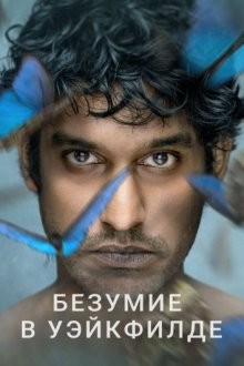 Безумие в Уэйкфилде / Wakefield (2021) смотреть онлайн бесплатно в отличном качестве