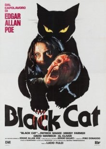 Черный кот / Black Cat (1981) смотреть онлайн бесплатно в отличном качестве