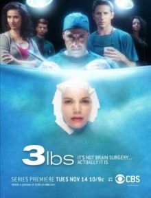 3 Фунта / 3 lbs. (2006) смотреть онлайн бесплатно в отличном качестве