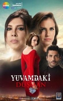 Враг в моем доме / Yuvamdaki Dusman (2018) смотреть онлайн бесплатно в отличном качестве