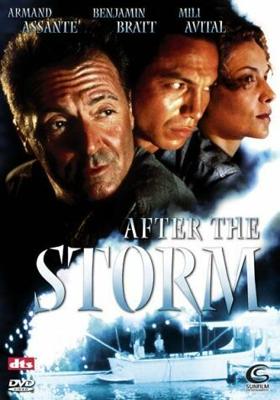 После шторма / After the Storm (2001) смотреть онлайн бесплатно в отличном качестве