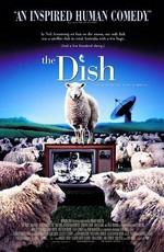 Тарелка (The Dish) 2000 года смотреть онлайн бесплатно в отличном качестве. Постер