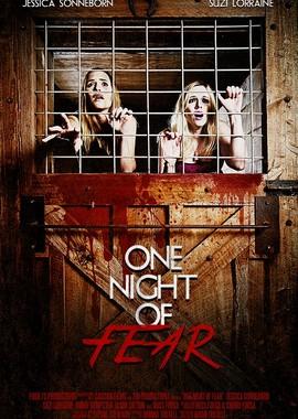 Одна ночь страха / One Night of Fear (2016) смотреть онлайн бесплатно в отличном качестве