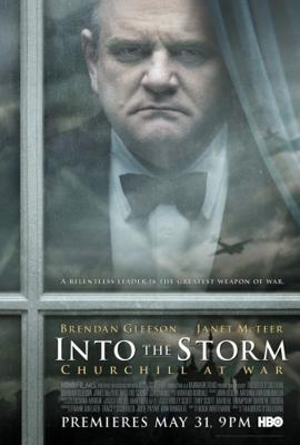 Навстречу шторму / Into the Storm (2009) смотреть онлайн бесплатно в отличном качестве