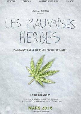 Плохие семена (Les mauvaises herbes) 2016 года смотреть онлайн бесплатно в отличном качестве. Постер