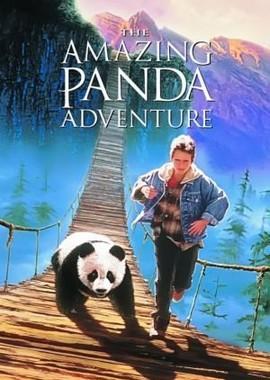 Удивительное приключение панды (The Amazing Panda Adventure)  года смотреть онлайн бесплатно в отличном качестве. Постер