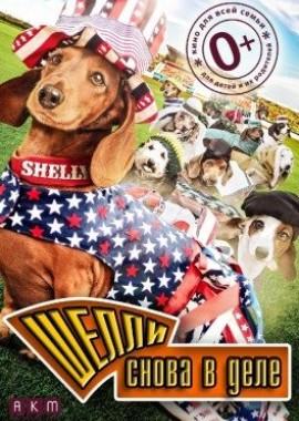 Шелли снова в деле (Wiener Dog Internationals)  года смотреть онлайн бесплатно в отличном качестве. Постер