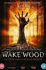 Пробуждающий лес / Wake Wood (2011) смотреть онлайн бесплатно в отличном качестве