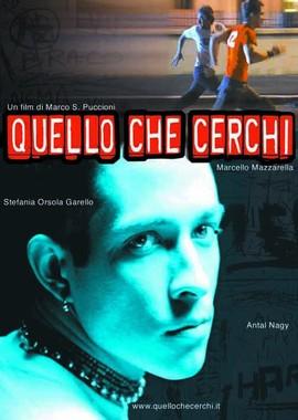 Что ищет он (Quello che cerchi) 2002 года смотреть онлайн бесплатно в отличном качестве. Постер