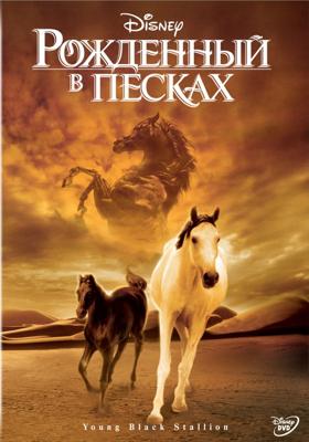 Рожденный в песках / The Young Black Stallion () смотреть онлайн бесплатно в отличном качестве