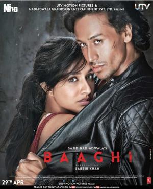 Бунтарь (Baaghi) 2016 года смотреть онлайн бесплатно в отличном качестве. Постер