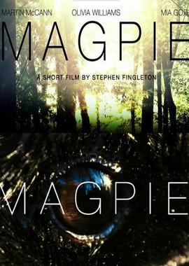 Барахольщик / Magpie (None) смотреть онлайн бесплатно в отличном качестве