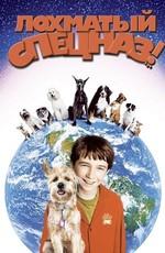 Лохматый спецназ / Good Boy! (2003) смотреть онлайн бесплатно в отличном качестве