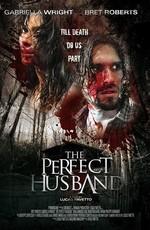 Идеальный муж / The Perfect Husband (None) смотреть онлайн бесплатно в отличном качестве