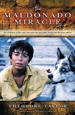 Чудо Мальдонадо / The Maldonado Miracle (2003) смотреть онлайн бесплатно в отличном качестве