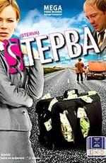 Cтерва /  (2009) смотреть онлайн бесплатно в отличном качестве