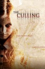 Отбор / The Culling (None) смотреть онлайн бесплатно в отличном качестве