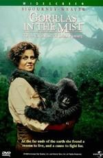 Гориллы в тумане: История Дайан Фосси / Gorillas in the Mist: The Story of Dian Fossey (None) смотреть онлайн бесплатно в отличном качестве