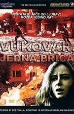 Вуковар (Vukovar, jedna prica)  года смотреть онлайн бесплатно в отличном качестве. Постер