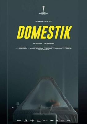 Домашний режим / Domestik (2018) смотреть онлайн бесплатно в отличном качестве