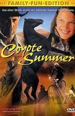 В одно прекрасное лето / Coyote Summer () смотреть онлайн бесплатно в отличном качестве