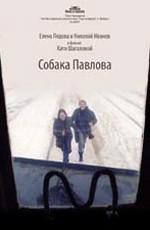 Собака Павлова () 2005 года смотреть онлайн бесплатно в отличном качестве. Постер