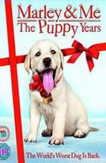 Марли и я 2 / Marley & Me: The Puppy Years (2011) смотреть онлайн бесплатно в отличном качестве