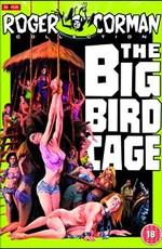 Большая клетка для птиц (The Big Bird Cage) 1972 года смотреть онлайн бесплатно в отличном качестве. Постер